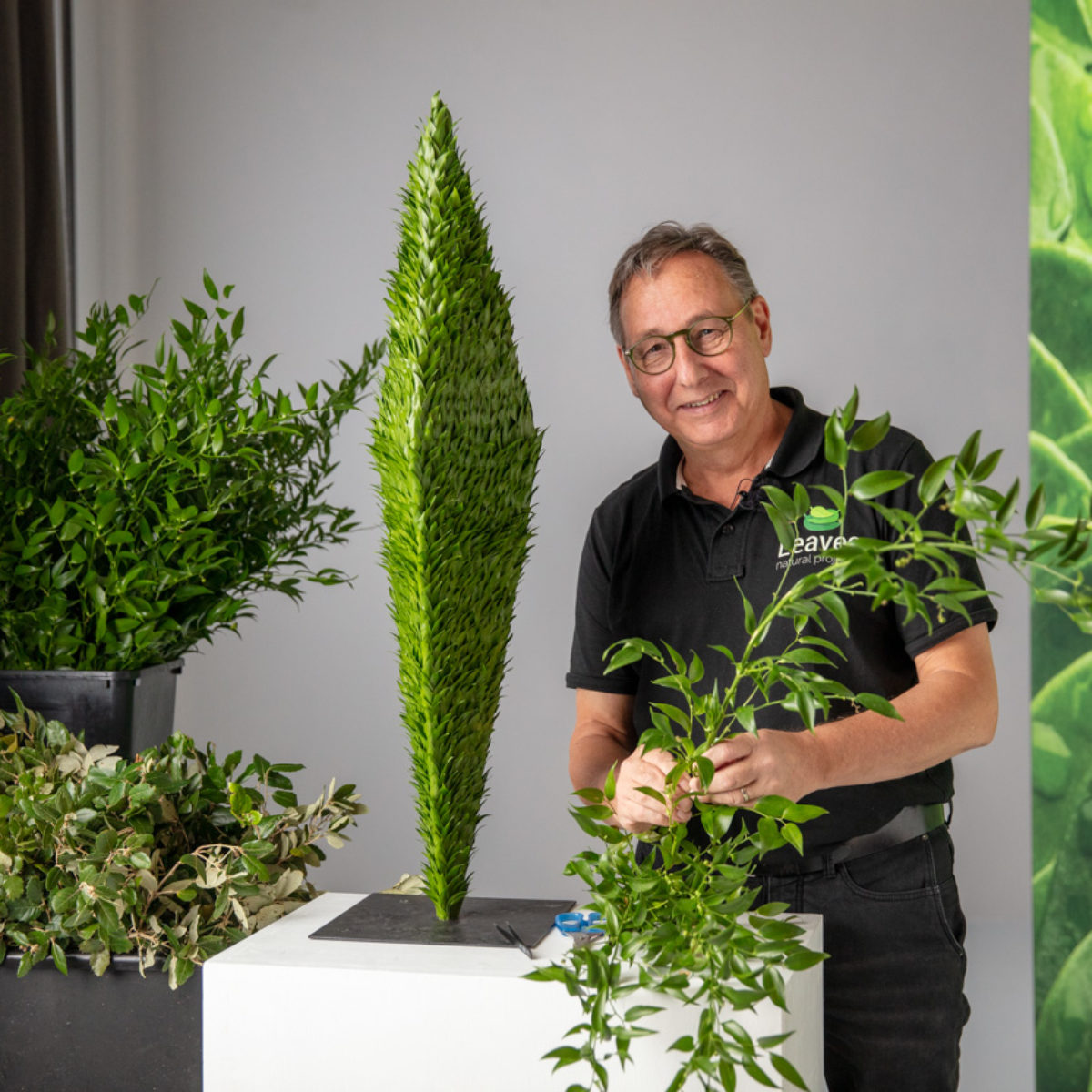 Boek ‘Leaves’ van Ben Clevers