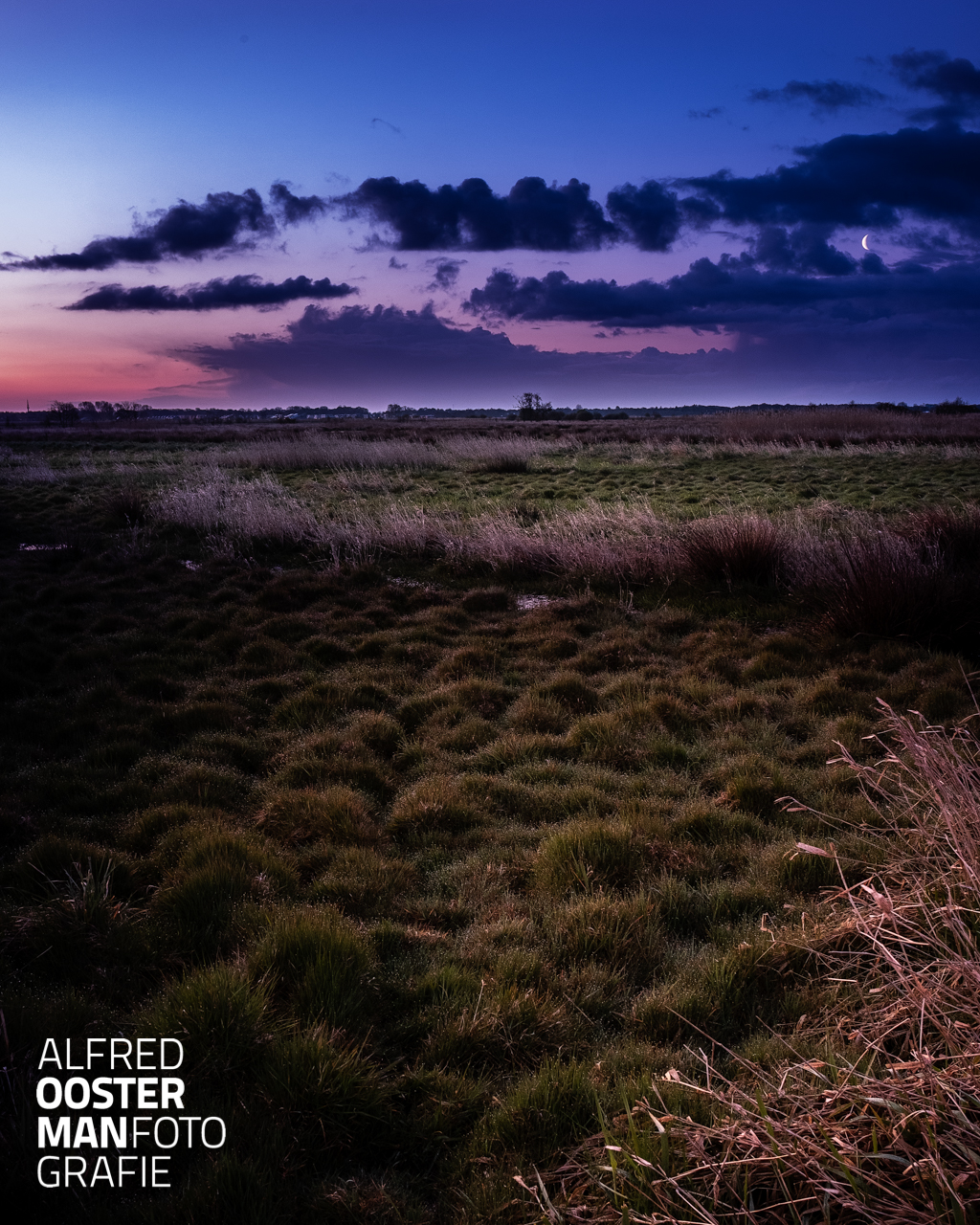 Reëen springen soepel en snel de ruimte in op zoek naar beschutting. Met mijn groothoek objectief heeft het geen zin om daar een foto van te willen maken. Er zat al licht in de lucht royaal voordat de schemering intreed, evengoed levert het mooi licht op.