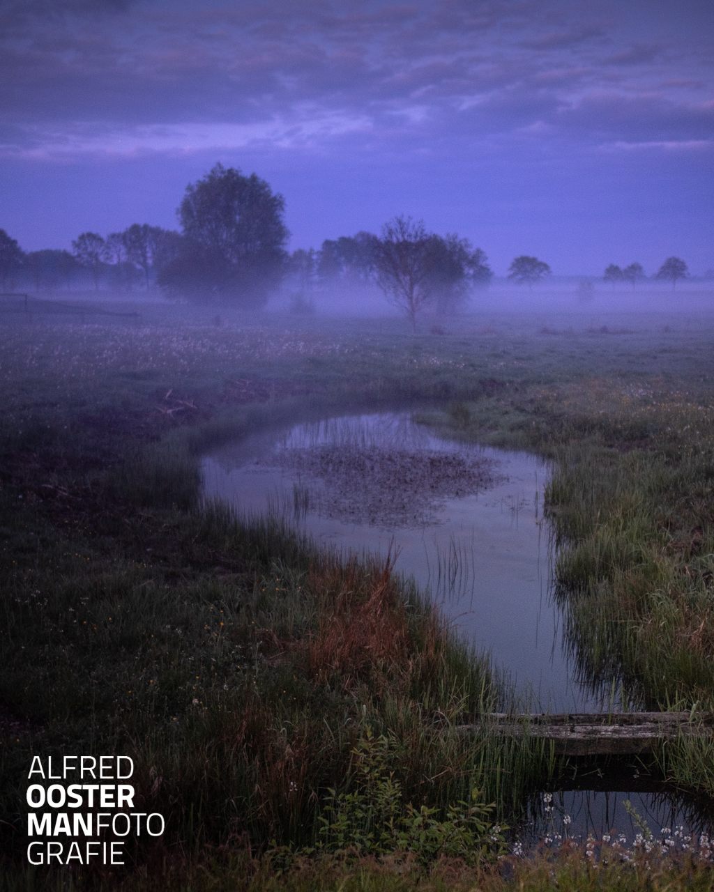Deze plek passeer ik vaak en blijft interessant om te fotograferen. In de afgelopen periode dat ik vroeg op pad ga om te het ontwaken van de dag in beeld wil brengen heb ik deze plek al meermalen gefotografeerd en ook vanmorgen moest ik stoppen voor deze plek. Mysterieuse mist en in de voorgrond voorjaarsbloeiers. Hoewel dit op enkele tientallen meters niet binnen de Onlanden valt hoort het er wat mij betreft toch echt ook bij.