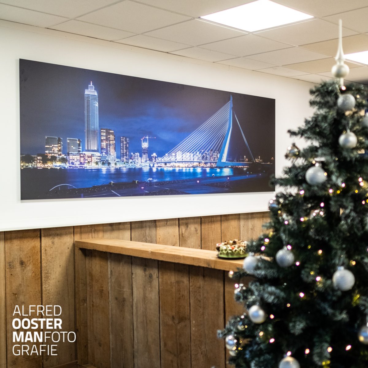 Rotterdam in Roden