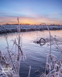 en in natuurwater. Voor Wil Paping een zeer regelmatig terugkomende belevenis. Doordat vorig jaar het sporten in accomodaties niet kon door covid-19 kwam hij op dit idee. Het hele jaar door zwemt hij als er geen ijs ligt 's morgens vroeg in het Peizerdiep. Geïnspireerd door de serie foto's van de Onlanden die Wil op de website van Alfred had gezien wilde hij graag een foto die in die sfeer past. Met de vorst van gisteren en vandaag een ultiem moment. Vanmorgen om 8.30 uur, -6 graden Celsius, de zon nog niet op en toch genoeg licht om beweging vast te leggen. Alles valt op zijn plaats.