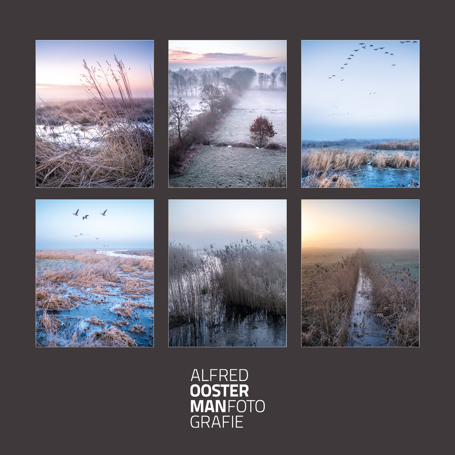 Selecteren. Het is fijn als je bij een fotosessie ruime keuze hebt zodat je echt de mooiste foto's kunt kiezen. In de eerste selecties die ik maak is het snel te zien welke foto meer aanspreekt en welke niet door gaat. Ook in de tweede ronde is dit een duidelijke keuze. Voor het maken een definitieve keuze zet ik de foto's naast elkaar en dan wordt het wikken en wegen. Uiteindelijk is het vaak een keuze uit vijf of zes foto's. Bij de serie van vanmorgen waren het nog zes. Daar heb ik één uit gekozen. Was het de mooiste? Dat blijft natuurlijk een kwestie van smaak. Als je daar iets over wil zeggen, ik ben benieuwd!