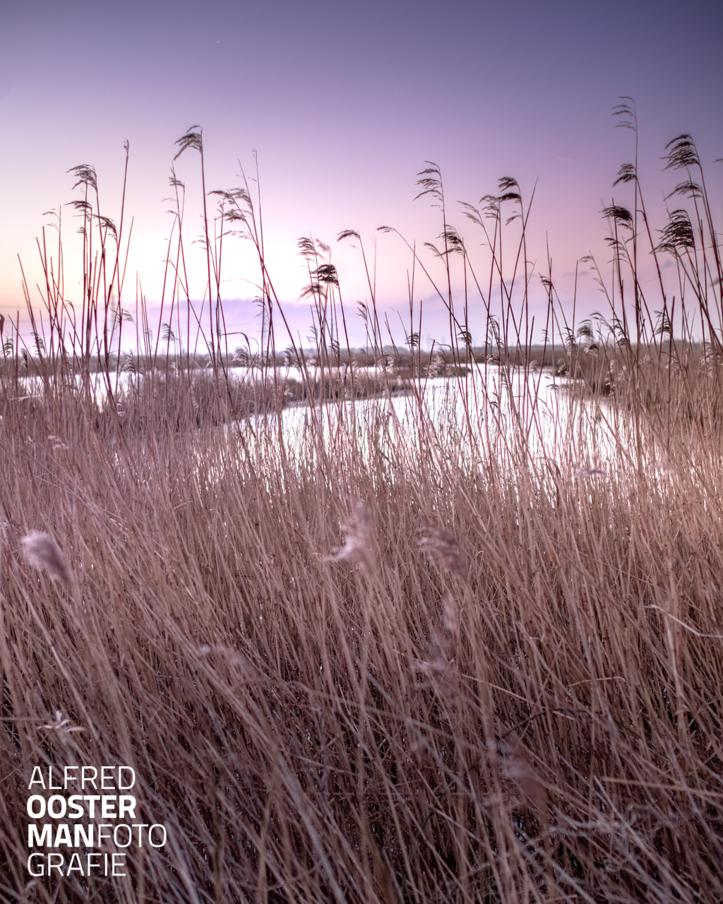 Ongemerkt 14 FEBRUARI 2022 Tijdens of na een natte periode zie je in de Onlanden een hoge(re) waterstand. Zo ook de afgelopen week. Het water van een groot gebied waaronder de stad Groningen kan veel water kwijt in dit mooie natuurgebied. Het leuke is dat je er niets van merkt omdat alles daarin onder controle is. Natuurlijk kun je het wel zien als je door het gebied fietst of wandelt. Doordat het water hoog staat ontstaan er meren ontstaan waar anders alleen maar kleine plassen en sloten zijn. Dat is het mooie van ‘in control’ zijn. Je staat klaar om op het juiste moment in actie te komen. Zo herken je vakmensen, goed georganiseerd die ervan genieten dat ze ongemerkt alles goed kunnen laten verlopen.