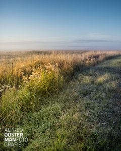Koelte. Onderweg naar mijn eerste afspraak. Het is nog vroeg. De zon is al op en schijnt tussen de de bomen door als ik over 'de Horst' rijd. De zonnestralen worden zichtbaar door de ochtendmist. Boven 'de Onlanden' ziek ik mooi licht door de ochtend nevel. Wat doe ik, doorrijden om goed op tijd te zijn? Of laat ik me verleiden om nog even een paar foto's te maken in 'de Onlanden'. Ik kies voor het laatste, een gevaarlijke keuze. Als ik gegrepen wordt door de schoonheid van het gebied is het moeilijk om te stoppen. Al snel zie ik veel moois. Even uitstappen om te fotograferen. Het kost moeite maar ik houd het bij een paar foto's en zorg dat ik toch nog op tijd ben. Heel gelukkig stap ik weer in de auto en laat de koelte van de ochtend achter me.