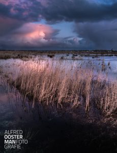 Vorige week was ik bij een klant thuis om een foto van waterbergingsgebied 'de Onlanden' te brengen en op te hangen. Daar werd ik blij van, kijk zelf maar. En, hoewel het inmiddels zomer is toch deze foto, zo mooi zijn 'de Onlanden'.